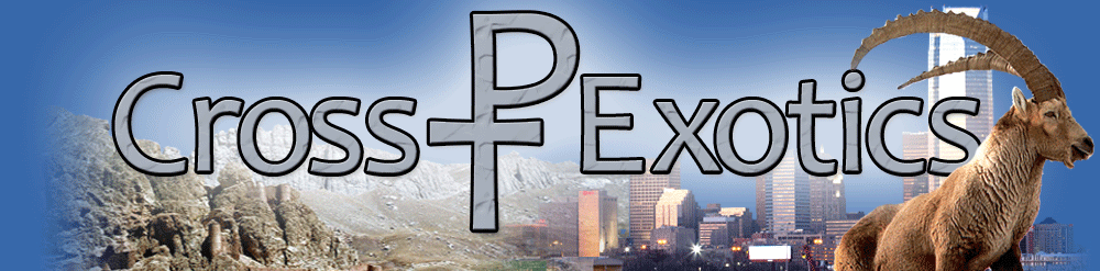Cross P Exotics Oklahoma City Ibex